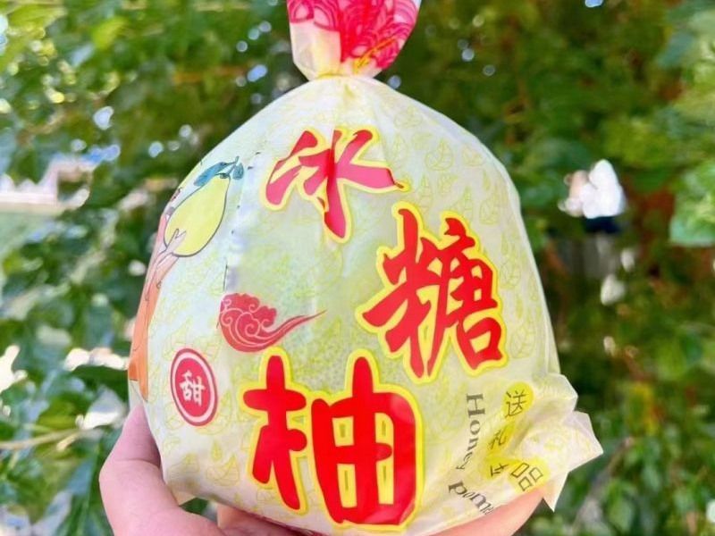 冰糖柚 (2)
