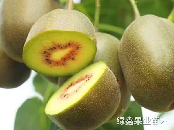 紅(hóng)心猕猴桃