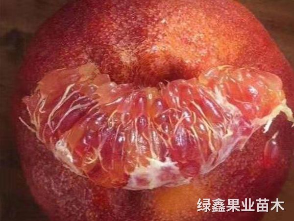 微(wēi)信圖片_20201217093832