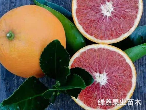 微(wēi)信圖片_20201217093825